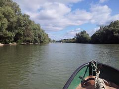 dunare 26-30.09.2013